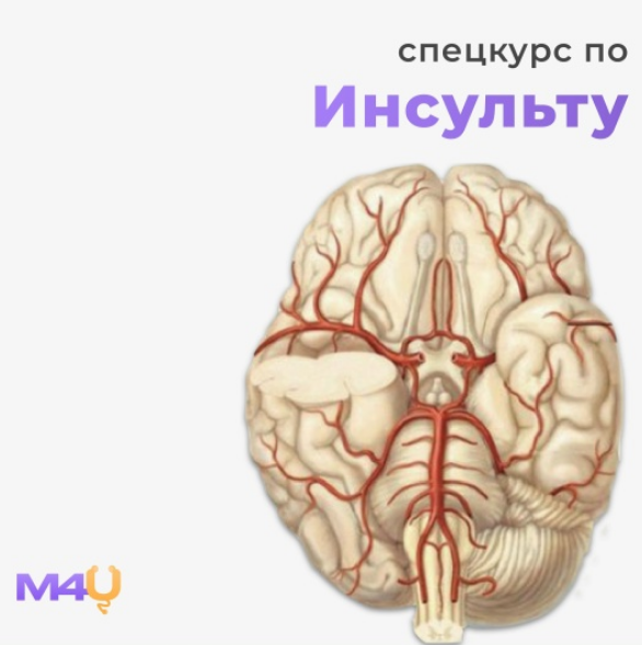 [Medforyou - школа медицины] Спецкурс по инсульту _0.png